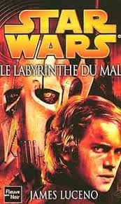 Le Labyrinthe du mal : LUCENO, JAMES, IMBERT, PATRICK: Amazon.fr: Livres