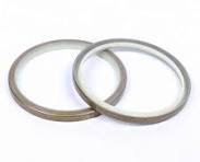 DLI Pin Dust Seal Wiper Seal DLI Oil Seal Customize Special Sizes Rubber,  Metal Dust Proof Standard Sanping