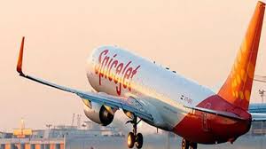 Now you can also get your queries resolved over whatsapp! Spicejet Adds 100th Plane To Fleet 4th Domestic Airline To Do So Zee Business