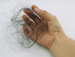 Symptoms of skin cancer on your scalp depend on the type of skin cancer. Hair Loss Timeline For Taxotere Chemotherapy Cancer Patients