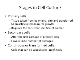 Plant cells and animal cells have many similarities, but have vast differences as well. Chapter 6 Plant And Animal Cell Bioreactors Ppt Video Online Download