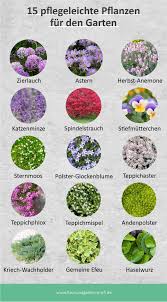15 Pflegeleichte Pflanzen Fur Den Garten Garten Anpflanzen Garten Pflanzen Garten Bepflanzen
