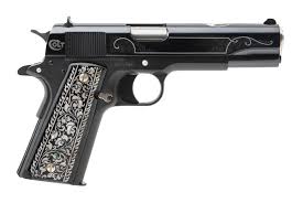 Image result for Grace Silver 1993 Colt