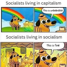 meme #socialism