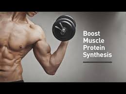This is a developer specializing in health applications, training support at home. The Definitive And Practical Guide To Muscle Protein Synthesis Legion Athletics