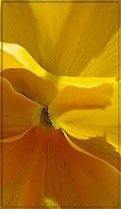 6 16 Mai 2010 Maisons Alfort Avenue Du Du General Leclerc Pensee Natural Landmarks Photo Antelope Canyon