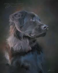 Pet portrait painting from photo. Commemorative Painting Of A Dog Dog Portraits Art Dog Portraits Painting Cat Portrait Painting