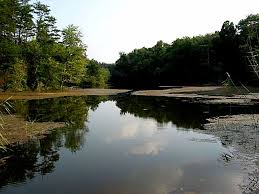 It is 46 miles (74 km) northeast of louisville, kentucky. Greene Sullivan State Forest An Indiana State Forest