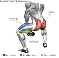 Glutes Dumbble Sumo Squat Fitness Body Glutes Workout Glutes
