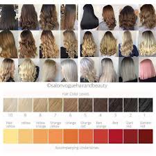 The best cool shades of blonde hair. The Best Hair Color Chart With All Shades Of Blonde Brown Red Black