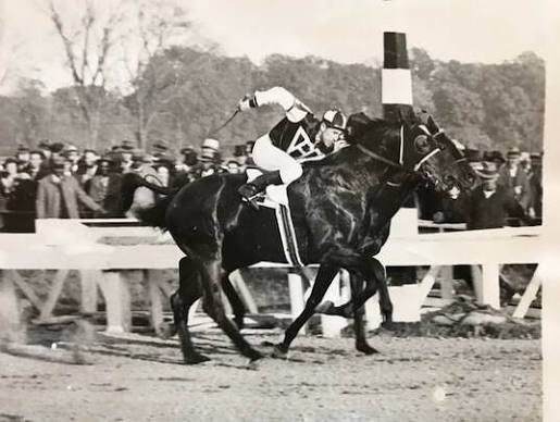 Seabiscuit (horse) - American Classic Pedigrees