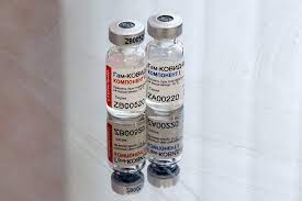 Sputnik v vaccine could provide a credible option in our fight against covid 19 in india. Argentina Kicks Off Vaccination Drive With Russia S Sputnik Bloomberg