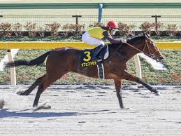 スプリンターズステークスは、日本中央競馬会（jra）が中山競馬場で施行する中央競馬の重賞 競走（gi）である。 正賞は 日本馬主協会連合会 会長賞 3 2 。 ãƒ¦ãƒ‹ã‚³ãƒ¼ãƒ³ã‚¹ãƒ†ãƒ¼ã‚¯ã‚¹å‡ºèµ°é¦¬æ±ºå®šé † ãƒ•ãƒ«ã‚²ãƒ¼ãƒˆ16é ­ã«18é ­ã®ç™»éŒ² 2å‹é¦¬14é ­ãŒæŠ½é¸ ç«¶é¦¬ãƒ‹ãƒ¥ãƒ¼ã‚¹ Netkeiba Com