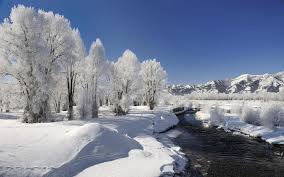 We did not find results for: Winter Wonderland Wallpaper Nature And Landscape Wallpaper Better