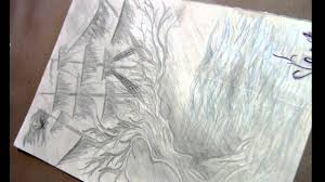 Excursii delta dunarii,croaziera in delta,vacanta delta,excursii cu barcile cu motor,excursii cu rapida,cazare pe. Desene In Creion Youtube