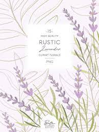 Lavender Flower Clip Art Set Lilac Florals Leaf Line Art Etsy Clip Art Flower Clipart Flower Art