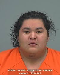 Pinal County Sheriff's log, 02/28/24