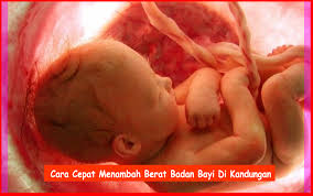 Ini makanan yang akan menambah berat badan bayi di dalam kandungan agar lahir dengan berat yang cukup. Ibu Hamil 1 Cara Cepat Menambah Berat Badan Bayi Dalam Kandungan