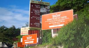 You can visit farms, tea plantations, enjoy the all year round cooling weather boh tea plantation sungai palas is highly on our list as it offers one of the most spectacular views on the highlands. Semuanya Tentang Cameron Highlands Ladang Teh Boh Sungai Palas Cameron Highlands