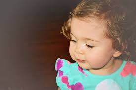 Tara Gregory Designs