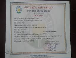 Trao giấy chứng nhận VietGap cho cây chôm chôm java Tân Qui