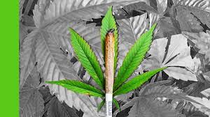 Cheating and dishonestly inducing delivery of property.—whoever cheats and thereby dishonestly induces the person deceived to deliver 420 or 4:20, is a general term for marijuana related activity. 420 Guide What Is 420 Day When Did It Start Why Is It Celebrated Gq India