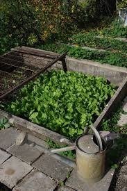 This garden bed is ideal for anyone who doesn't want to stoop to care for plants or has poor ground quality that is not conducive to. 20 Tips For How To Maintain A Healthy Attractive Vegetable Garden Install It Direct