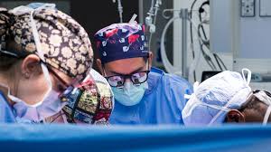 Image result for Transplantation