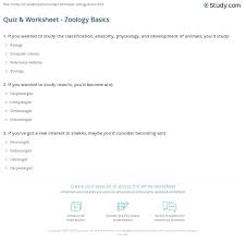 Only true fans will be able to answer all 50 halloween trivia questions correctly. Quiz Worksheet Zoology Basics Study Com