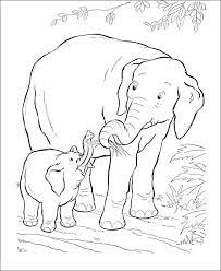This baby animals and mom coloring pages will helps kids to focus while developing creativity, motor skills and color recognition. Mom And Baby Animal Coloring Pages Novocom Top