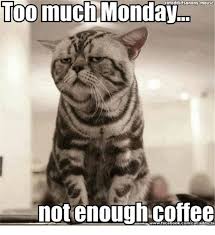 Funny animal sayings and quotes. Too Much Monday Not Enough Coffee Zu Viel Montag Zu Wenig Kaffee Cute Funny Animals Funny Animal Quotes Funny Animal Pictures