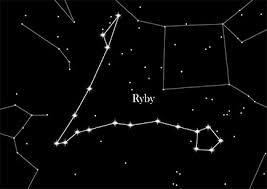 Horoskop ryby tarot, ryby znak zodiaku, ryby kamień zodiakalny, ryby zodiak kamień, znaki często czytane. Ryby Kupgwiazde Com Blog
