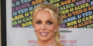 Britney Spears Joins Sons Jayden James and Sean Preston Federline for Rare Family Photo at Dollywood