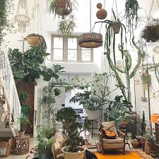 Loft Houseplants Room With Plants Plant Decor Plant Aesthetic