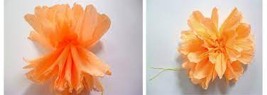 Edle rosen aus krepppapier basteln. Anleitung Blumen Aus Krepppapier Basteln 3 Varianten