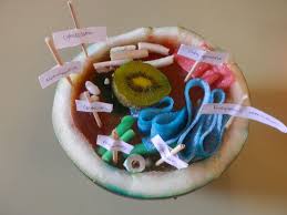 Maybe you would like to learn more about one of these? 3Âº E S O Cell Project Bilingual Program At La Senda Getafe