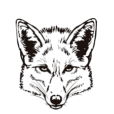 El Zorro de Arriba · Work Café Coliving