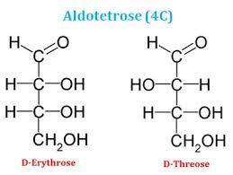 If we write a for nh3, b for no2 ( or ono) and c for cl, the geometrical isomers for a and c can be represented as. Monosaccharides Short Lecture Notes Easy Biology Class