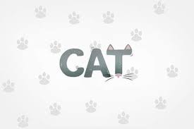 Cat Illustrated Word Illustrated Words Kindergarten Art Lessons Kindergarten Art