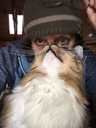 My Aunt And Her Cat Funny Animals Funny Animal Pictures Cute Animal Pictures