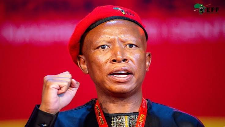 EFF will rebuild, advance struggle for economic freedom: Malema - SABC News - Breaking news, special reports, world, business, sport coverage of all South African current events. Africa's news leader.