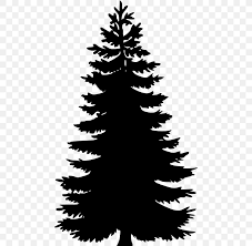 Pine Tree Fir Spruce Clip Art Png 466x800px Pine Art Black And White Branch Christmas Decoration