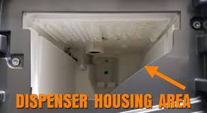 We did not find results for: How To Remove And Prevent Black Mold In Washing Machine Detergent Drawer