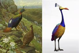 Art Of Emily Willoughby Top 10 Fictional Birds Based On Real Birds Birds Animal Photo Art
