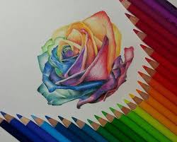 Pin Di Cassidy Pemberton Su Art Disegno Di Fiori Disegno Di Una Rosa Disegno A Matita Colorata