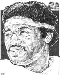 Miami Dolphin Pen Wrap