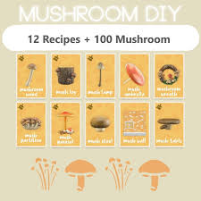 Animal Crossing Mushroom Diy And More Animal Crossing Animal Crossing Game New Animal Crossing