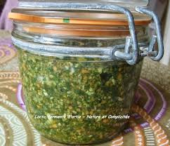 Les Orties En Lacto Fermente Je Vous Ai Parle Des Orties Puis Des Graines Et Suggere Diverses Recettes J 39 Espe Recette Ortie Aliments Fermentes Ortie