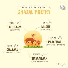 Aamozish On Twitter Urdu Words Urdu Words With Meaning Language Urdu