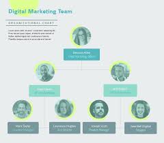 Digital Marketing Team Organizational Chart Template Visme